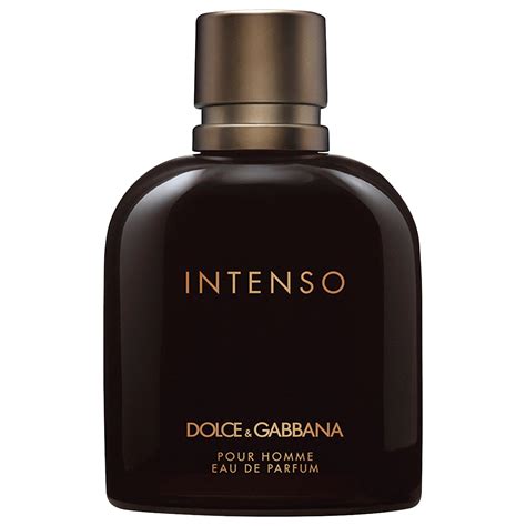 dolce gabbana new perfume intenso|dolce & gabbana intenso review.